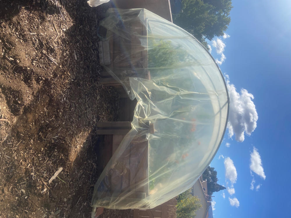 Greenhouse Plastic 6 Mil Clear - Customer Photo From Danielle Bream