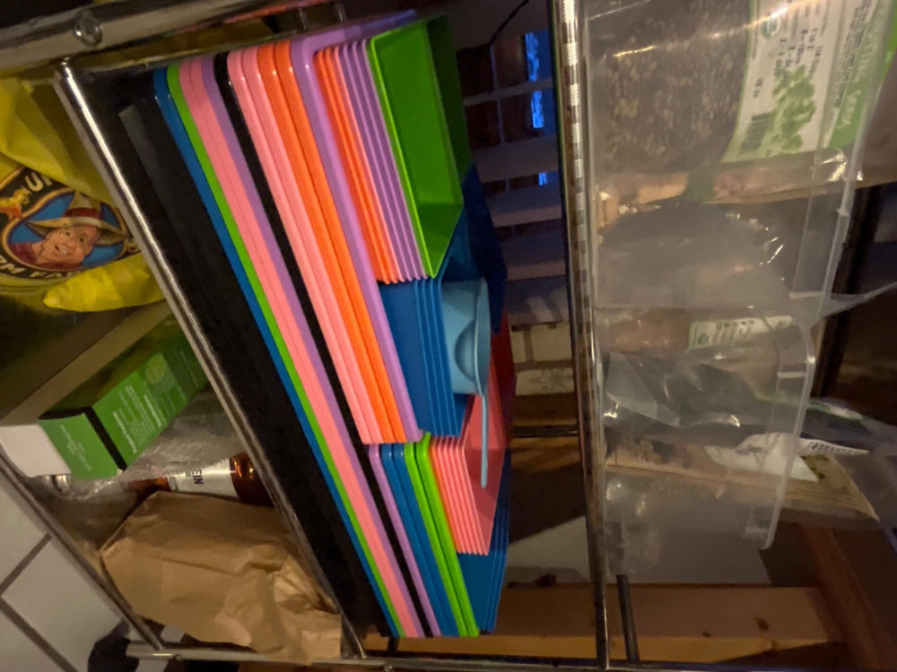 1020 Microgreen Trays - Shallow Extra Strength - Customer Photo From Anonymous