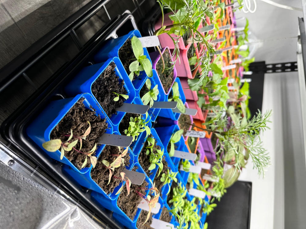 1020 Microgreen Trays - Shallow Extra Strength - Customer Photo From Sima Ramnarine