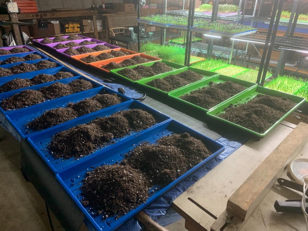 Microgreen Trays - Extra Strength Colors - Customer Photo From UPPER G.