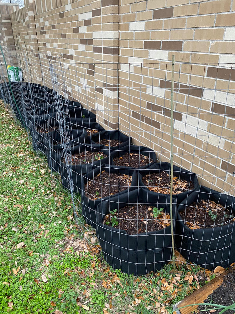 Grow Bags - 2 to 50 Gallon - Black - Customer Photo From Mary Kesler