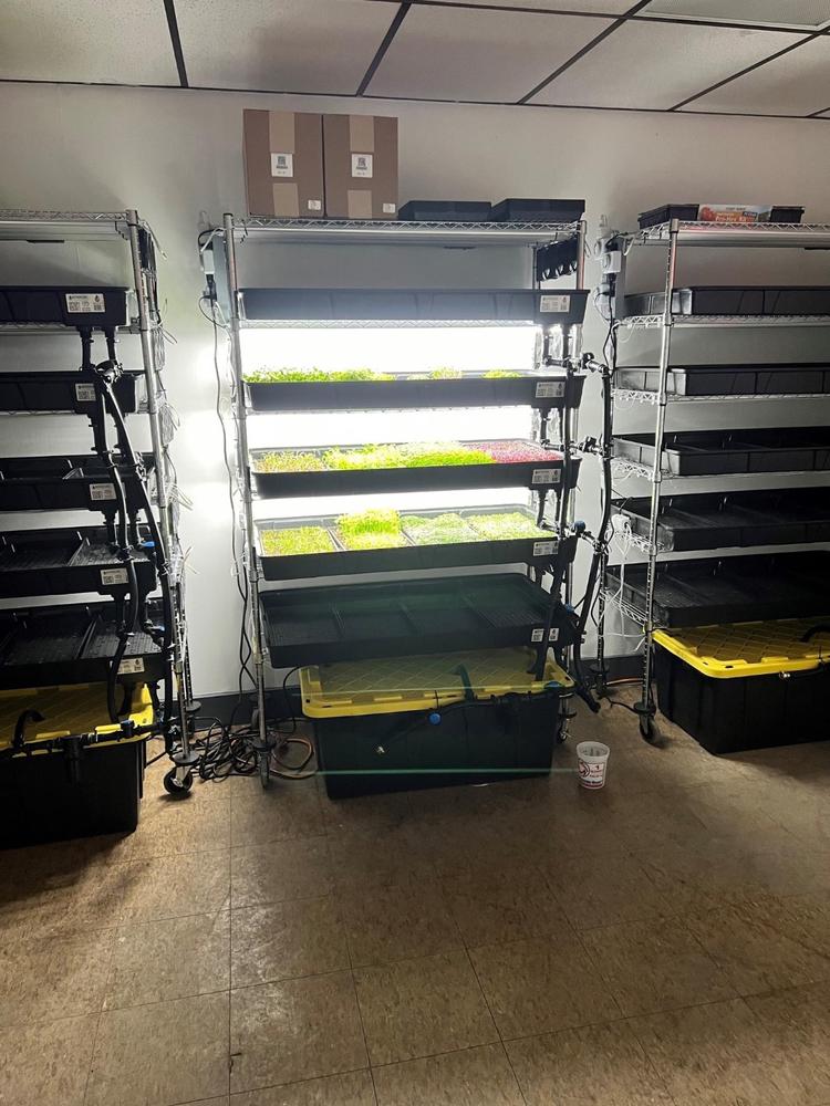 Grow Rack - Automated Vertical Propagation Rack - Customer Photo From Anonymous