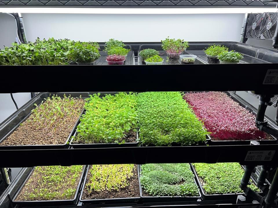 Grow Rack - Automated Vertical Propagation Rack - Customer Photo From Anonymous
