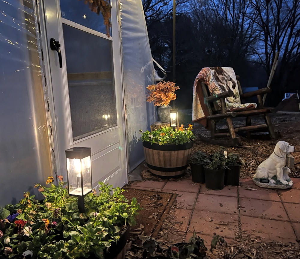 Hobby Greenhouse Kit - Customer Photo From Daniel Tyler