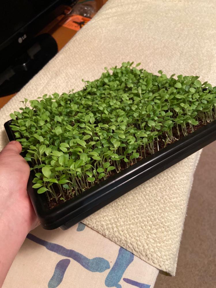 1010 Shallow Seed Trays - Customer Photo From Anonymous