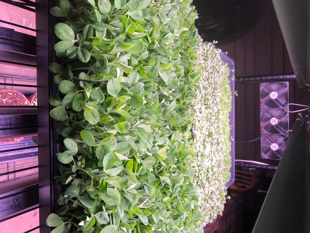 Grow Rack Fans- 3 Fan - Bootstrap Farmer