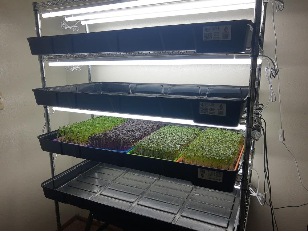 Grow Rack Flood Trays - Shallow Water 2