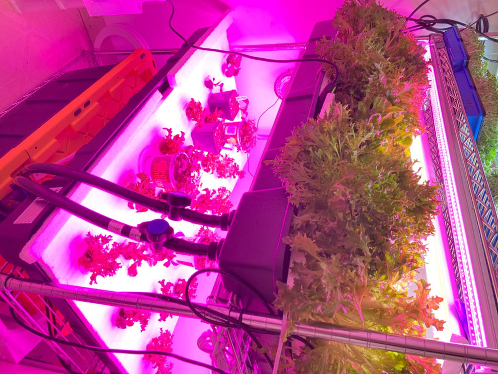 Grow Rack Flood Trays - Shallow Water 2