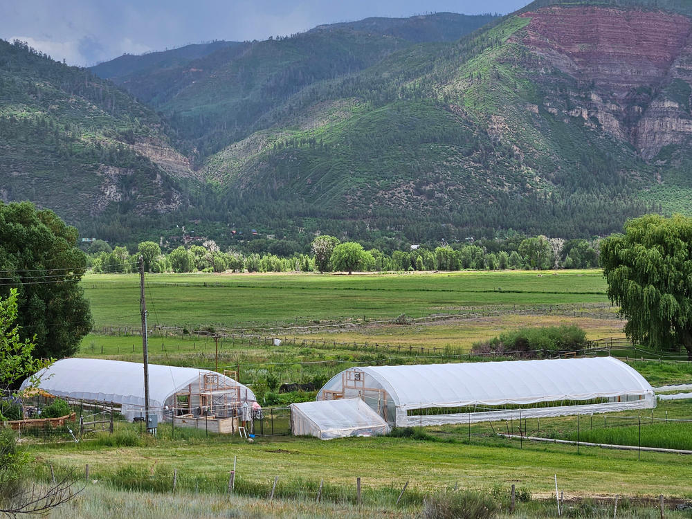 Greenhouse Shade Cloth - 50% White - Customer Photo From Anonymous