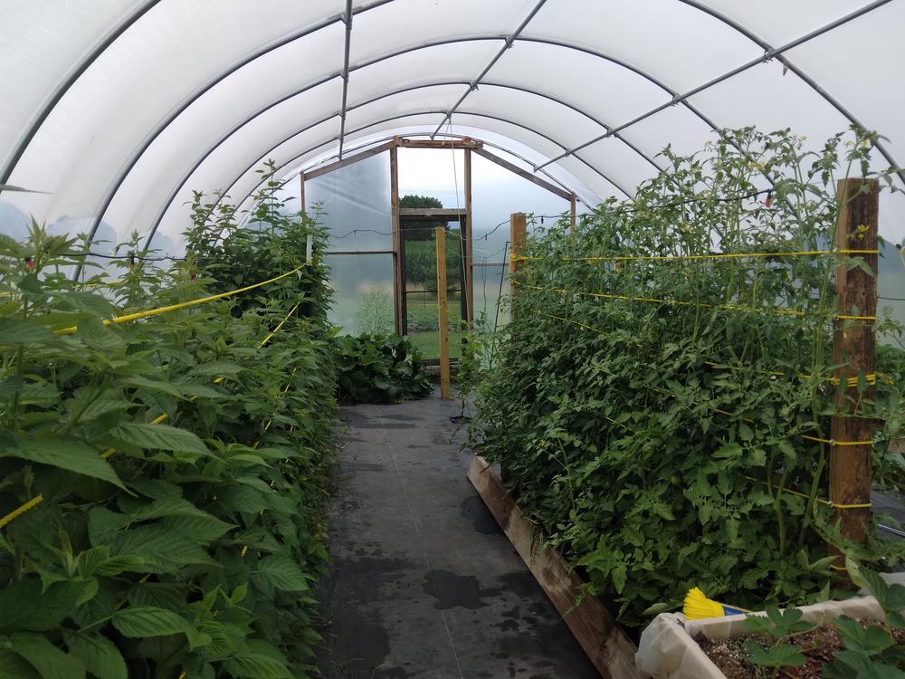 Greenhouse Shade Cloth - 50% White - Customer Photo From brian t