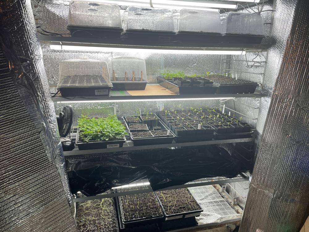 72-Cell Seed Starting Trays - Customer Photo From jeffrey o