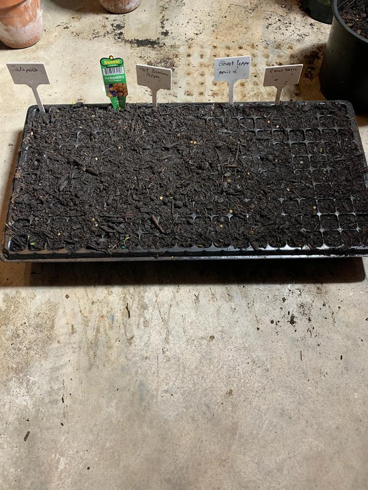 200-Cell Seed Starting Tray - Customer Photo From Angelica V