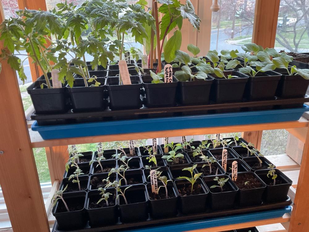 32-Cell Reusable Plant Starter Trays with Inserts - Customer Photo From Anonymous