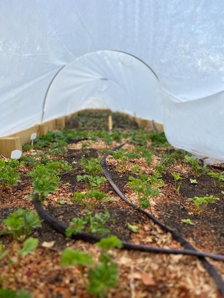 Greenhouse Snap On Clamps and Clips - Customer Photo From elizabeth seliga