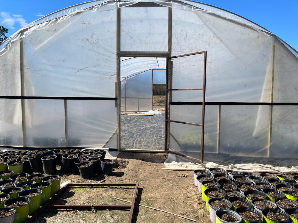 Greenhouse Snap On Clamps and Clips - Customer Photo From StepHanii W