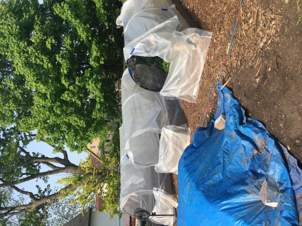 Greenhouse Snap On Clamps - Customer Photo From Curtis P.