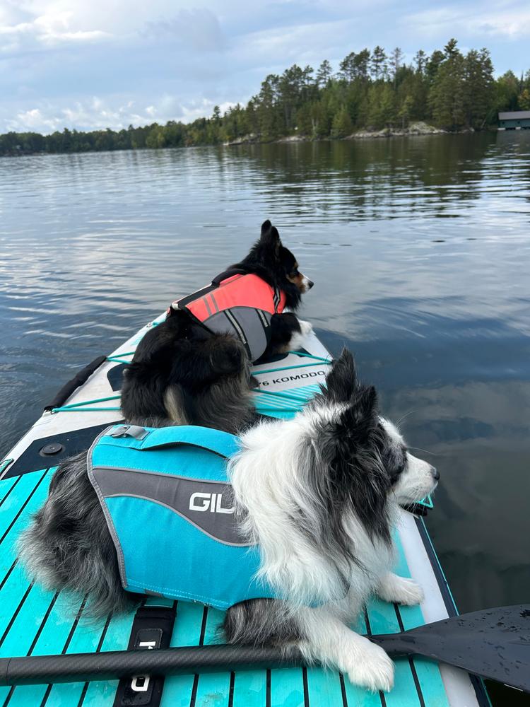 Dog Life Jacket Flotation Device - Customer Photo From Kelly McNiel