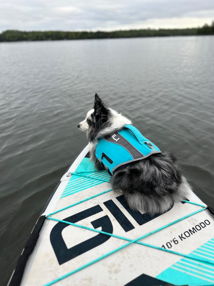 Dog Life Jacket Flotation Device - Customer Photo From Kelly McNiel