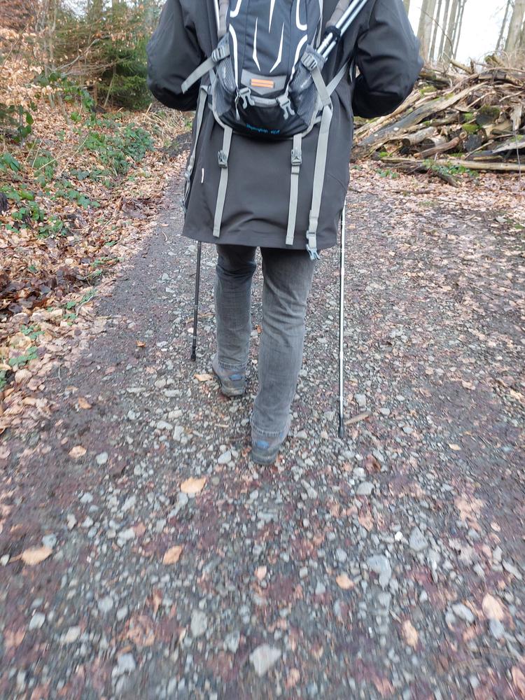 TREKOLOGY Hiking Poles, Trekking Poles TREKZ SE, 2pc Walking Stick, for  Collapsible Lightweight Women Men Nordic Seniors Sticks Travel