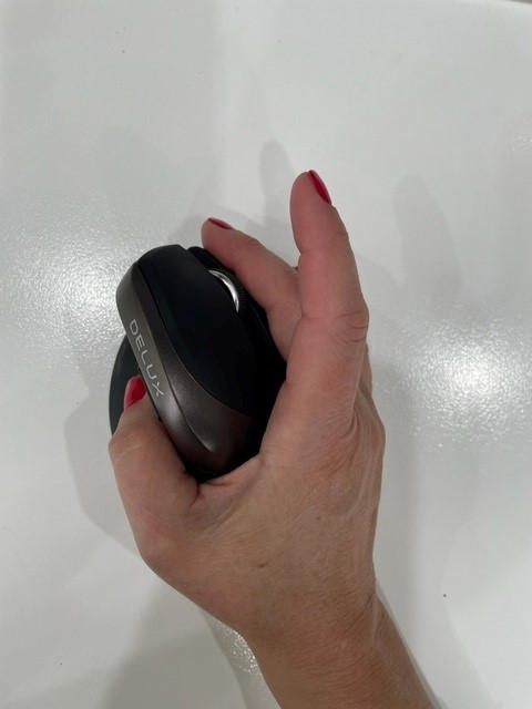 Delux Mini Vertical Ergonomic Mouse - Customer Photo From Sonja M.