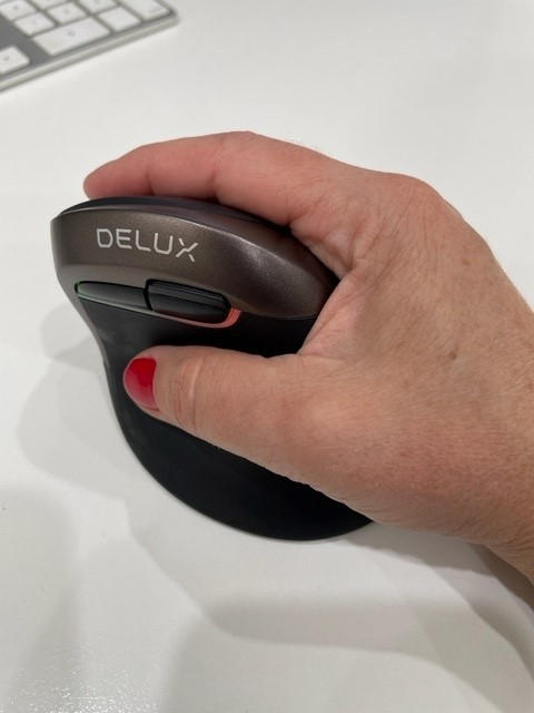 Delux Mini Vertical Ergonomic Mouse - Customer Photo From Sonja M.