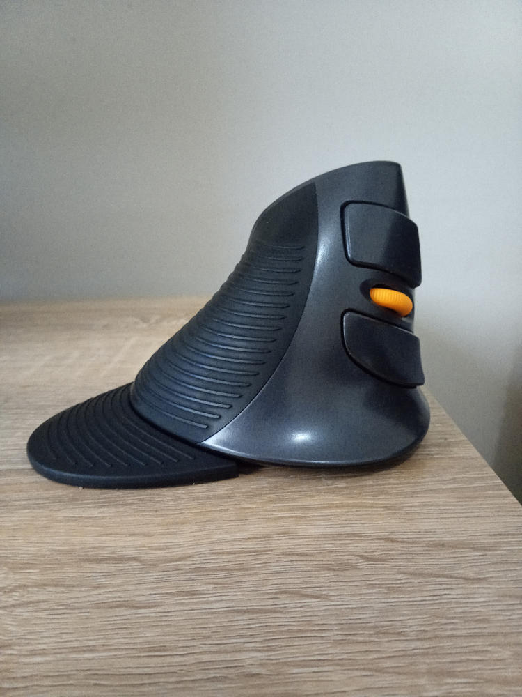 Delux Vertical Ergonomic Mouse - Customer Photo From Simone S.