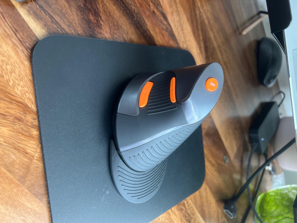 Delux Vertical Ergonomic Mouse - Customer Photo From Cassandra D.