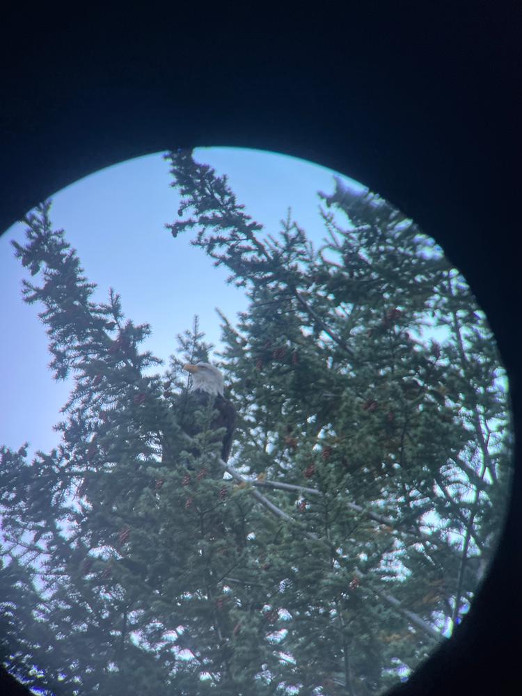 Zero Tube 10x25 Waterproof Monocular - Customer Photo From Steven Crowe