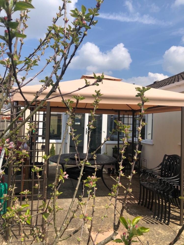 Canopy for 3m x 3m Patio Gazebo - Two Tier - Customer Photo From Garry Jones