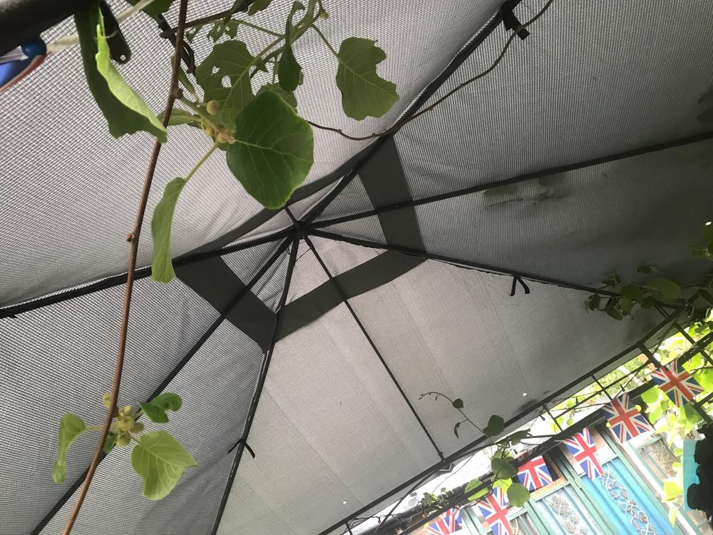 Canopy for 3m x 3m Homebase Marquee Patio Gazebo - Single Tier - Customer Photo From Alistair Mitchell