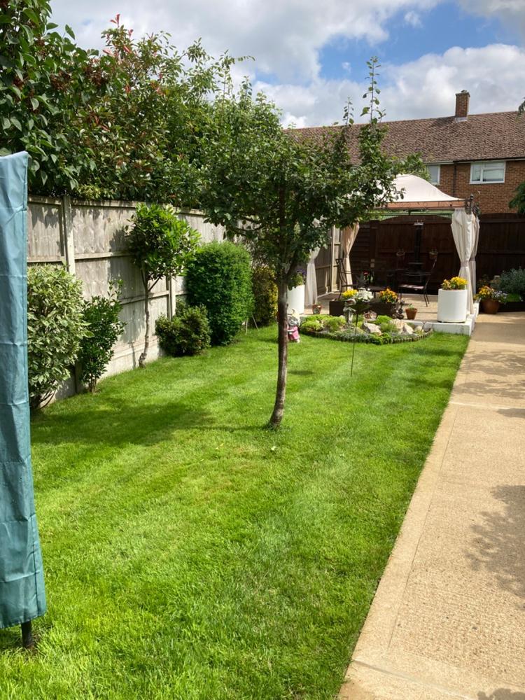 Canopy for 3m x 3m Patio Gazebo - Single Tier - Customer Photo From Pauline Donnelly