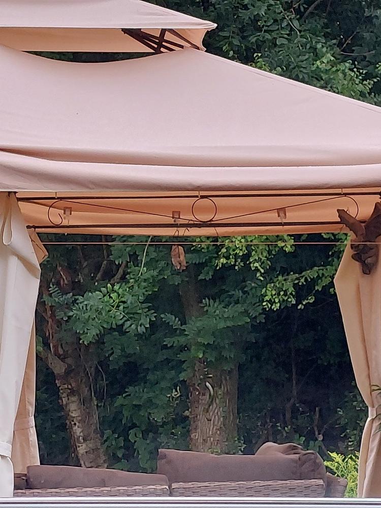Canopy for 3m x 4m Patio Gazebo - Two Tier - Customer Photo From Jill Anderson