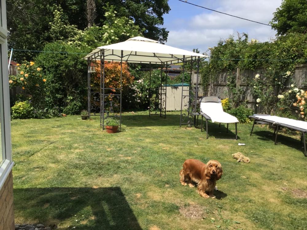 Canopy for 3m x 3m Homebase Lucca Patio Gazebo - Two Tier - Customer Photo From RD Bliss