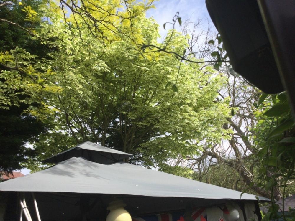 Canopy for 3m x 3m Patio Gazebo - Two Tier - Customer Photo From Terry Smith