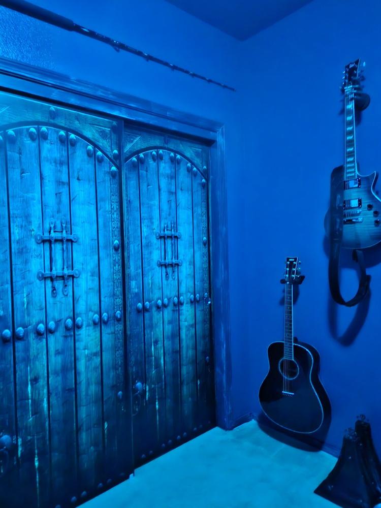 The Valkyrie Silver Finish Guitar Hanger - Left - Customer Photo From Ronald Hughes