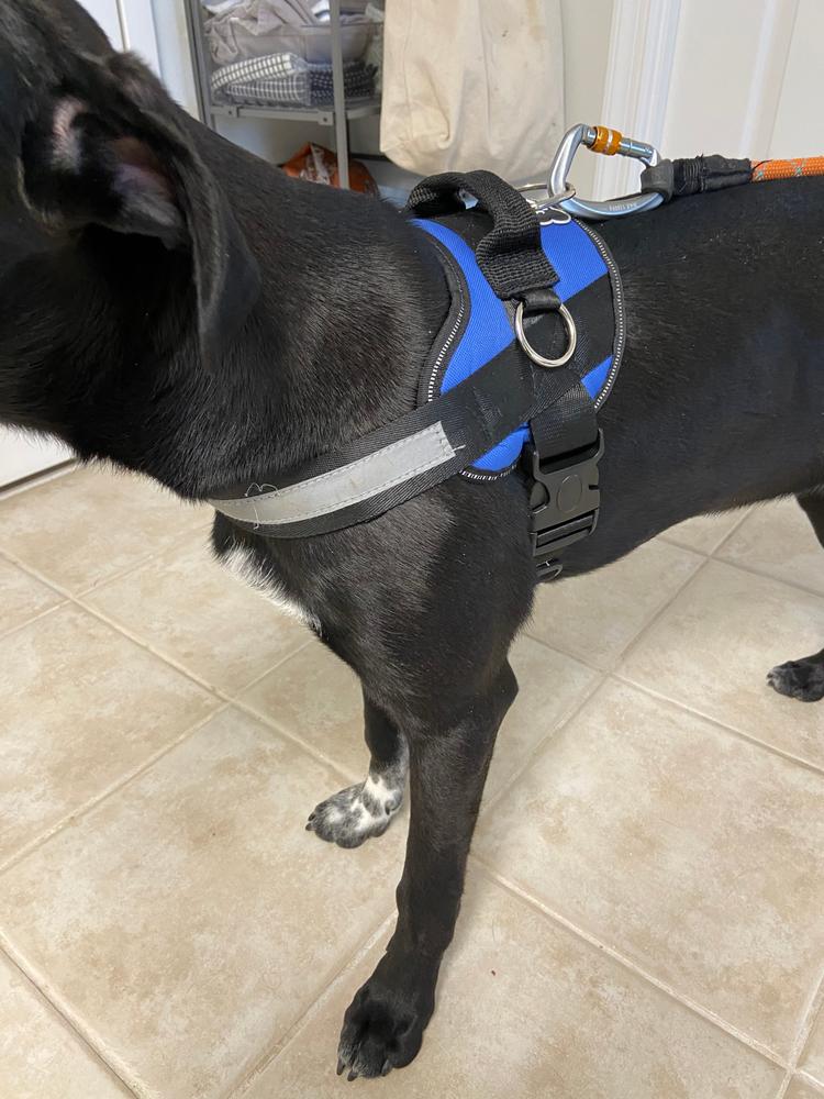 Diagram Camo Dog Harness U2013 Joyride Harness