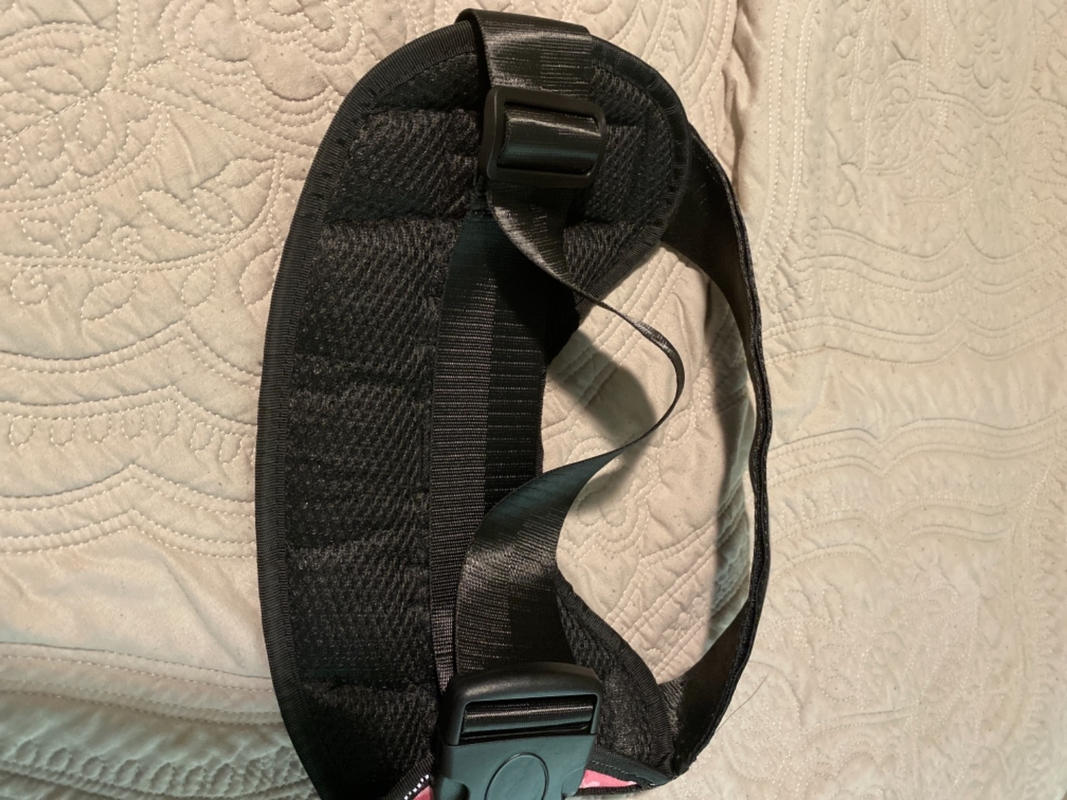 Double Dog Leash U2013 Joyride Harness