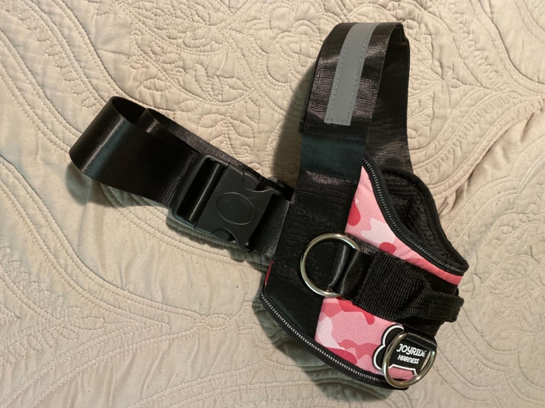 Double Dog Leash U2013 Joyride Harness