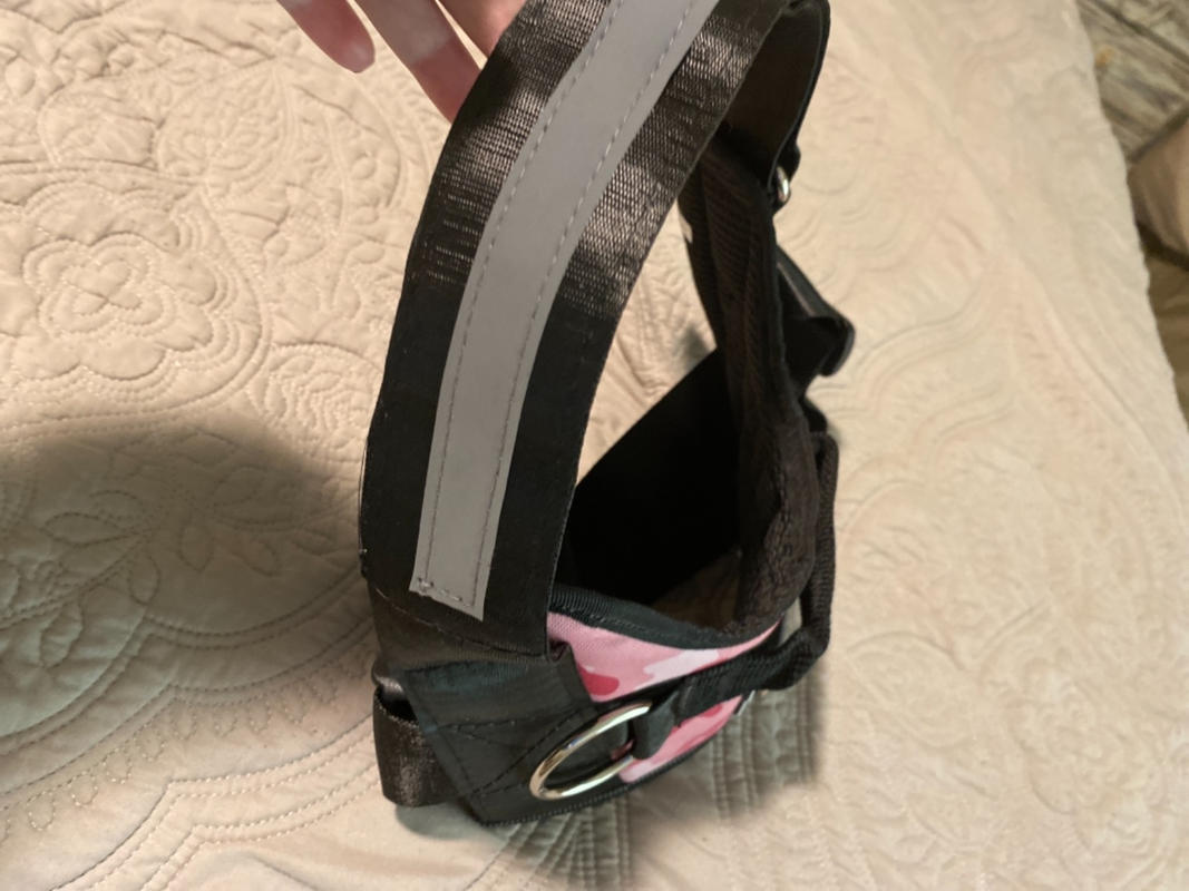 Double Dog Leash U2013 Joyride Harness