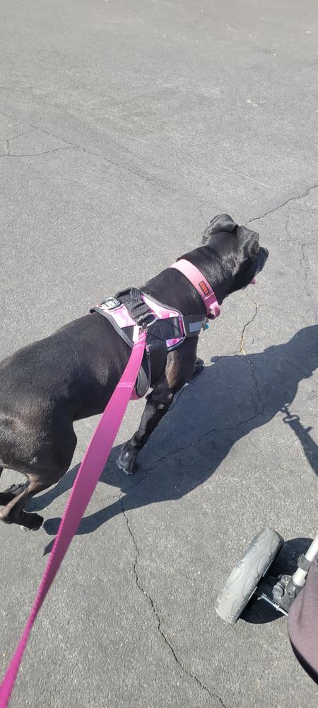 Pink Camo Matching Dog Leash - Customer Photo From Mike