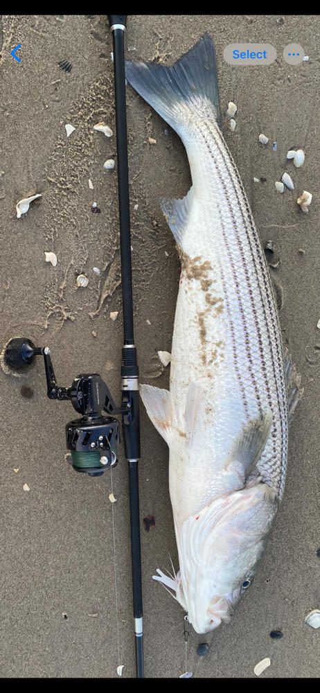 ODM Genesis Surf Rods - Customer Photo From Benny Mondello