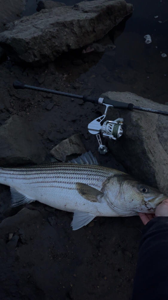 Van Staal VSX2 Spinning Reels - Customer Photo From Bruce Brown