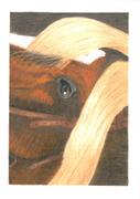 Ann Kullberg CP Horses - A Complete Colored Pencil Guide to Horses Review