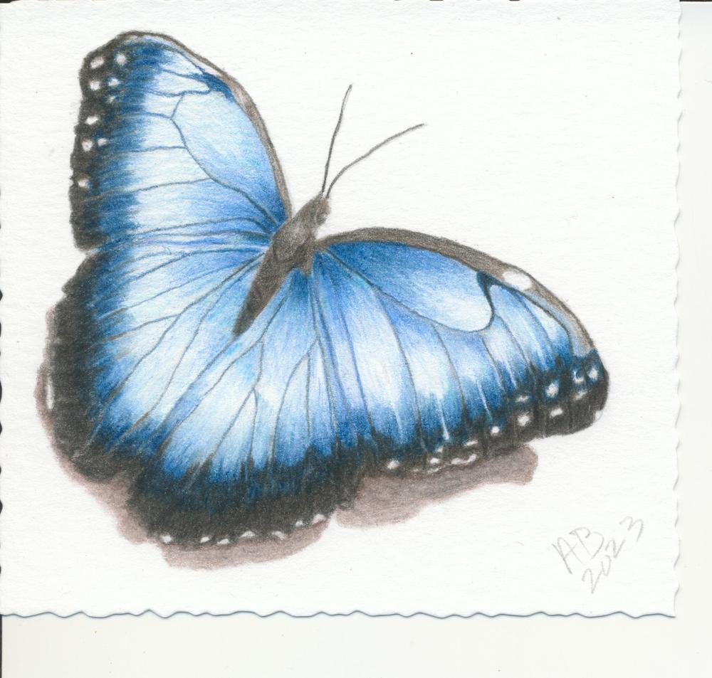 A set of illustrations of blue watercolor butterflies. A simple isolated  image of an animal on a white background. Drawing an insect handmade Stock  Photo - Alamy