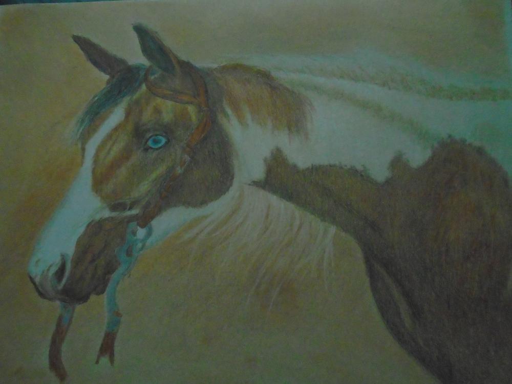 Painted Pony: In-Depth Colored Pencil Tutorial - Customer Photo From Ron Oldoren