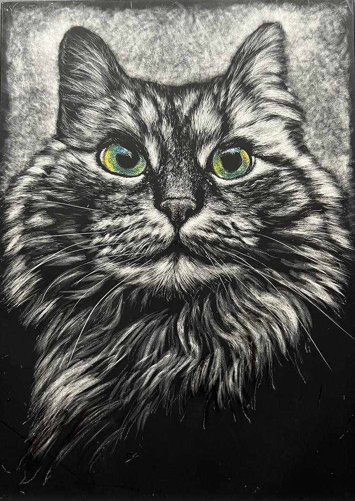 Scratchboard Art Lesson - Cat 