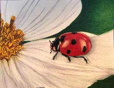 Ann Kullberg Jumpstart Level 3: Ladybug Review