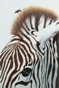 Ann Kullberg Jumpstart Level 2: Zebra in Colored Pencil Review