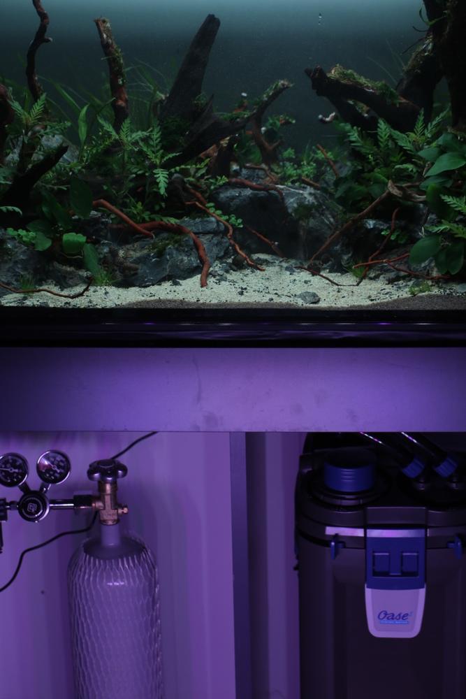 Acquario completo serie Pro-SE CO2 Sistema con Flux_ Diffuser in-tank