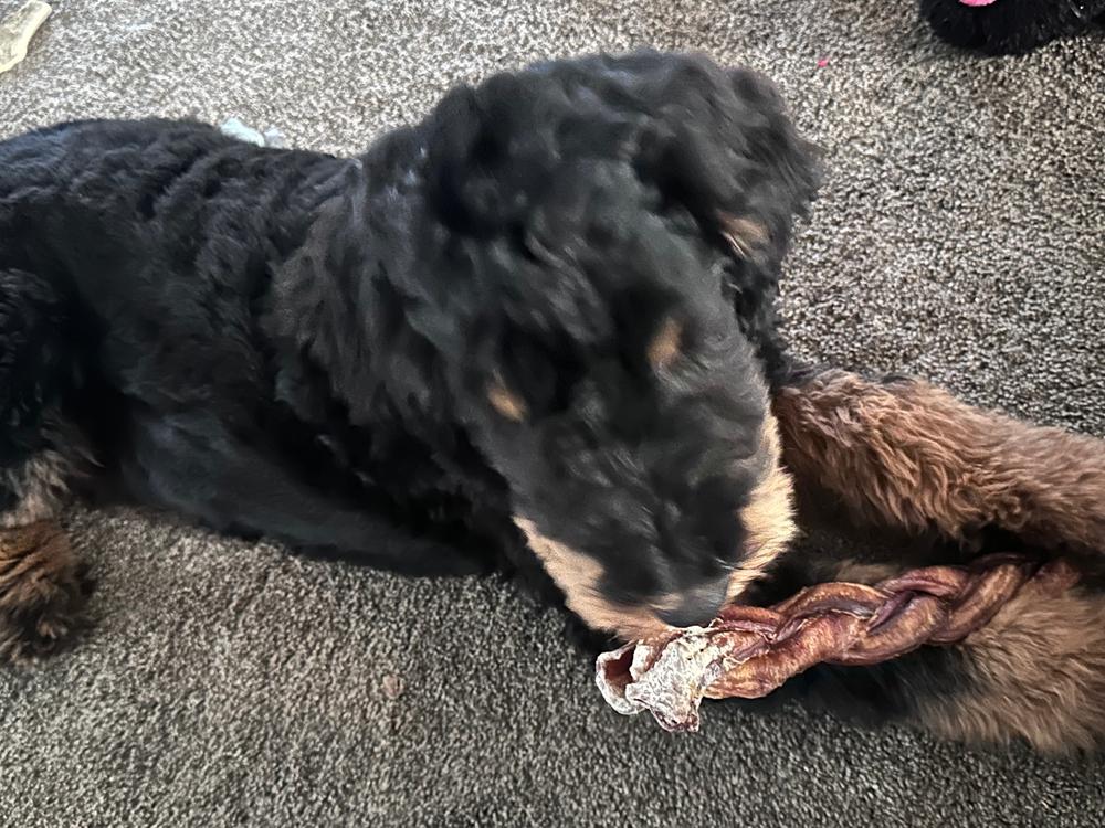 4-Inch Bully Stick - Customer Photo From Karen Fosnaugh